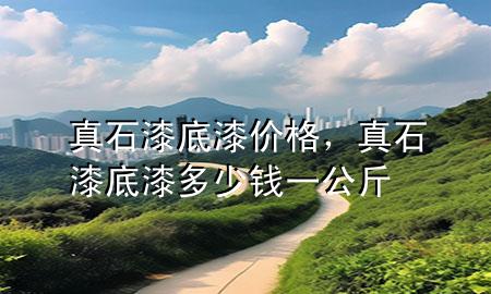 真石漆底漆價(jià)格，真石漆底漆多少錢一公斤