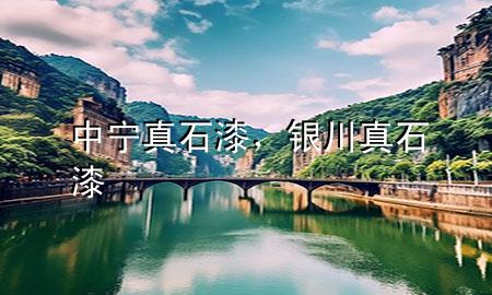 中寧真石漆，銀川真石漆