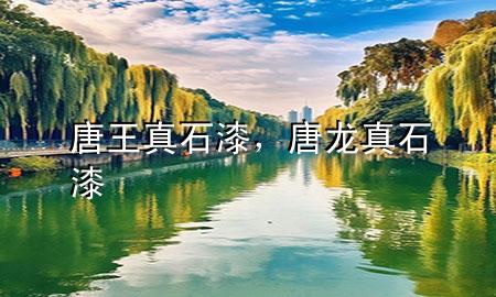 唐王真石漆，唐龍真石漆