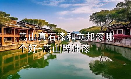 嵩山真石漆和立邦漆哪個好-嵩山牌油漆