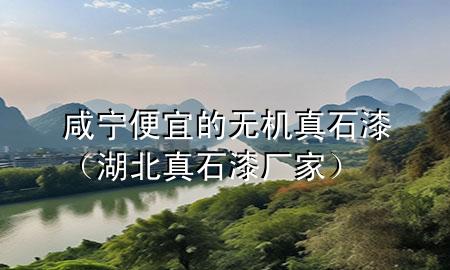 咸寧便宜的無機(jī)真石漆（湖北真石漆廠家）