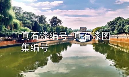 真石漆編號(hào)-真石漆圖集編號(hào)