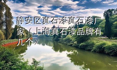 靜安區(qū)真石漆真石漆廠(chǎng)家（上海真石漆品牌有幾個(gè)）