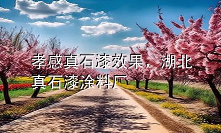 孝感真石漆效果，湖北真石漆涂料廠(chǎng)