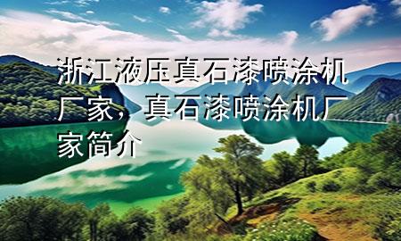 浙江液壓真石漆噴涂機(jī)廠家，真石漆噴涂機(jī)廠家簡介