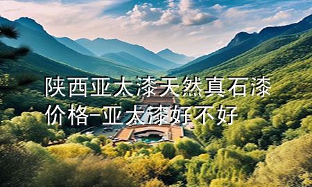 陜西亞太漆天然真石漆價(jià)格-亞太漆好不好