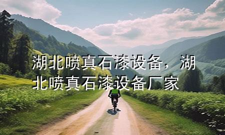 湖北噴真石漆設備，湖北噴真石漆設備廠家