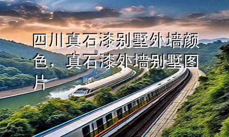 四川真石漆別墅外墻顏色，真石漆外墻別墅圖片