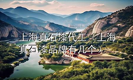 上海真石漆代工（上海真石漆品牌有幾個）