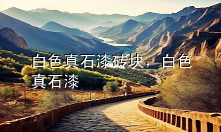 白色真石漆磚塊，白色 真石漆