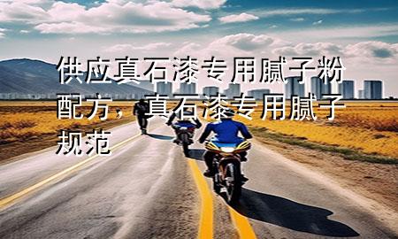 供應真石漆專用膩子粉配方，真石漆專用膩子規(guī)范