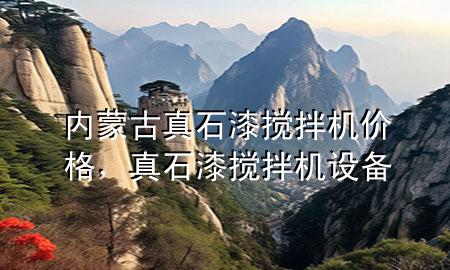 內(nèi)蒙古真石漆攪拌機(jī)價(jià)格，真石漆攪拌機(jī)設(shè)備