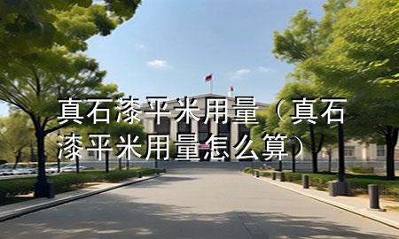 真石漆平米用量（真石漆平米用量怎么算）
