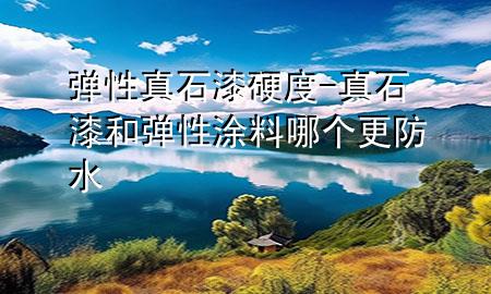 彈性真石漆硬度-真石漆和彈性涂料哪個(gè)更防水