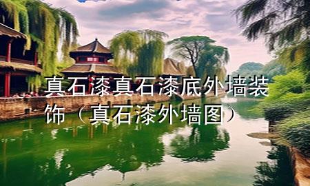 真石漆真石漆底外墻裝飾（真石漆外墻圖）