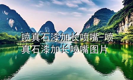 噴真石漆加長噴嘴-噴真石漆加長噴嘴圖片
