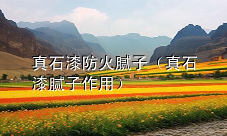 真石漆防火膩子（真石漆膩子作用）