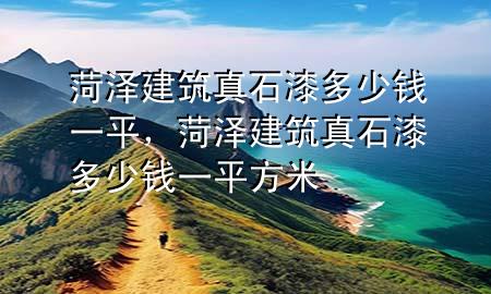 菏澤建筑真石漆多少錢(qián)一平，菏澤建筑真石漆多少錢(qián)一平方米