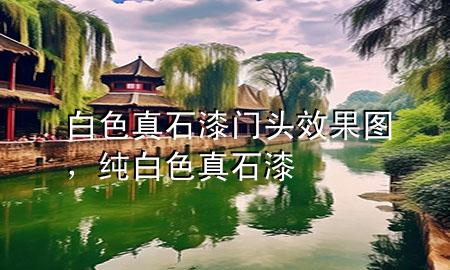 白色真石漆門頭效果圖，純白色真石漆