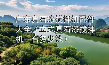 廣東真石漆攪拌機(jī)配件大全（立式真石漆攪拌機(jī)一臺(tái)多少錢）