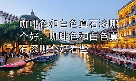 咖啡色和白色真石漆哪個好，咖啡色和白色真石漆哪個好看些