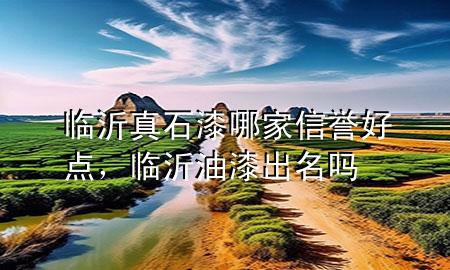 臨沂真石漆哪家信譽(yù)好點(diǎn)，臨沂油漆出名嗎