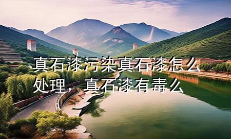 真石漆污染真石漆怎么處理，真石漆有毒么