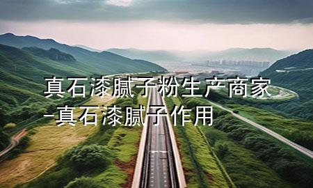 真石漆膩子粉生產(chǎn)商家-真石漆膩子作用