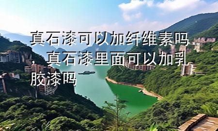 真石漆可以加纖維素嗎，真石漆里面可以加乳膠漆嗎