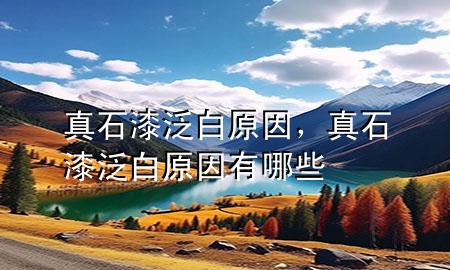 真石漆泛白原因，真石漆泛白原因有哪些