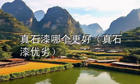 真石漆哪個更好（真石漆優(yōu)劣）