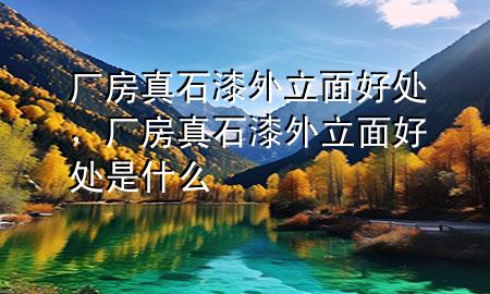 廠房真石漆外立面好處，廠房真石漆外立面好處是什么