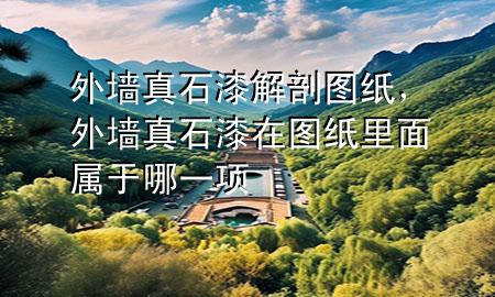 外墻真石漆解剖圖紙，外墻真石漆在圖紙里面屬于哪一項