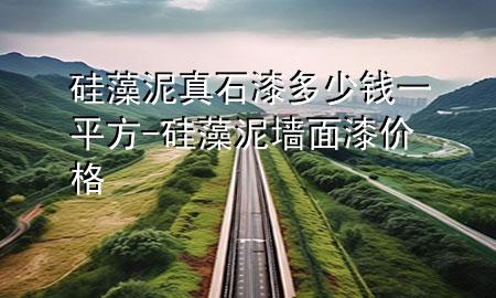 硅藻泥真石漆多少錢一平方-硅藻泥墻面漆價格