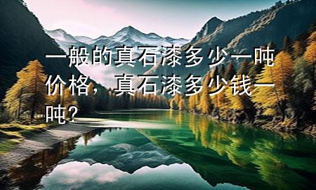 一般的真石漆多少一噸價格，真石漆多少錢一噸?