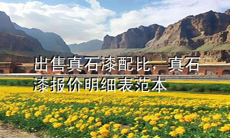 出售真石漆配比，真石漆報(bào)價(jià)明細(xì)表范本