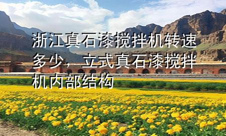 浙江真石漆攪拌機(jī)轉(zhuǎn)速多少，立式真石漆攪拌機(jī)內(nèi)部結(jié)構(gòu)