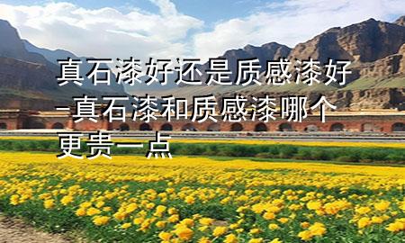 真石漆好還是質(zhì)感漆好-真石漆和質(zhì)感漆哪個更貴一點