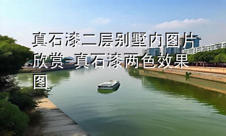 真石漆二層別墅內圖片欣賞-真石漆兩色效果圖