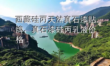 西藏硅丙天然真石漆貼牌，真石漆硅丙乳液價格