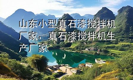 山東小型真石漆攪拌機(jī)廠家，真石漆攪拌機(jī)生產(chǎn)廠家