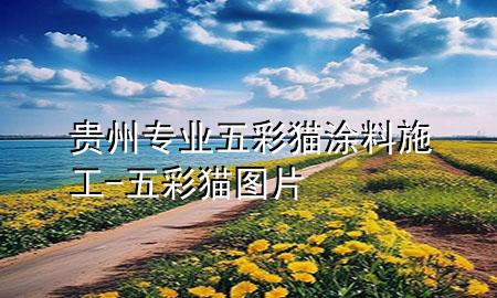 貴州專業(yè)五彩貓涂料施工-五彩貓圖片