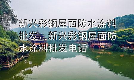 新興彩鋼屋面防水涂料批發(fā)，新興彩鋼屋面防水涂料批發(fā)電話