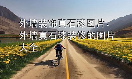 外墻裝飾真石漆圖片，外墻真石漆裝修的圖片大全