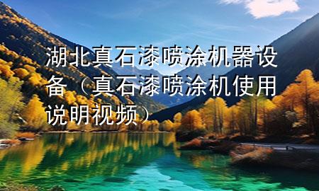 湖北真石漆噴涂機(jī)器設(shè)備（真石漆噴涂機(jī)使用說明視頻）