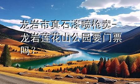 龍巖市真石漆噴槍賣(mài)-龍巖蓮花山公園要門(mén)票嗎？