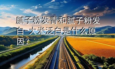 膩?zhàn)臃郯l(fā)青和膩?zhàn)臃郯l(fā)白-大米泛白是什么原因？