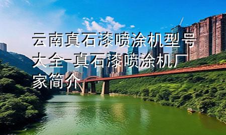 云南真石漆噴涂機型號大全-真石漆噴涂機廠家簡介