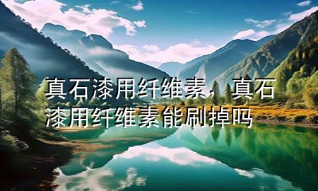真石漆用纖維素，真石漆用纖維素能刷掉嗎