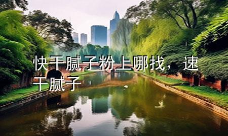 快干膩子粉上哪找，速干膩子